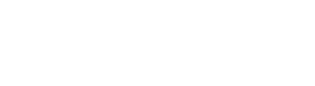 DartNode® White Logo